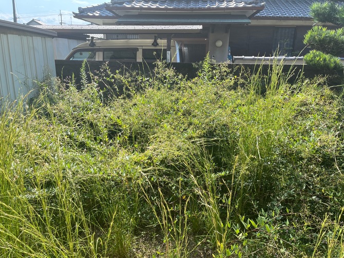 滋賀県の草刈り 滋賀県の草刈り